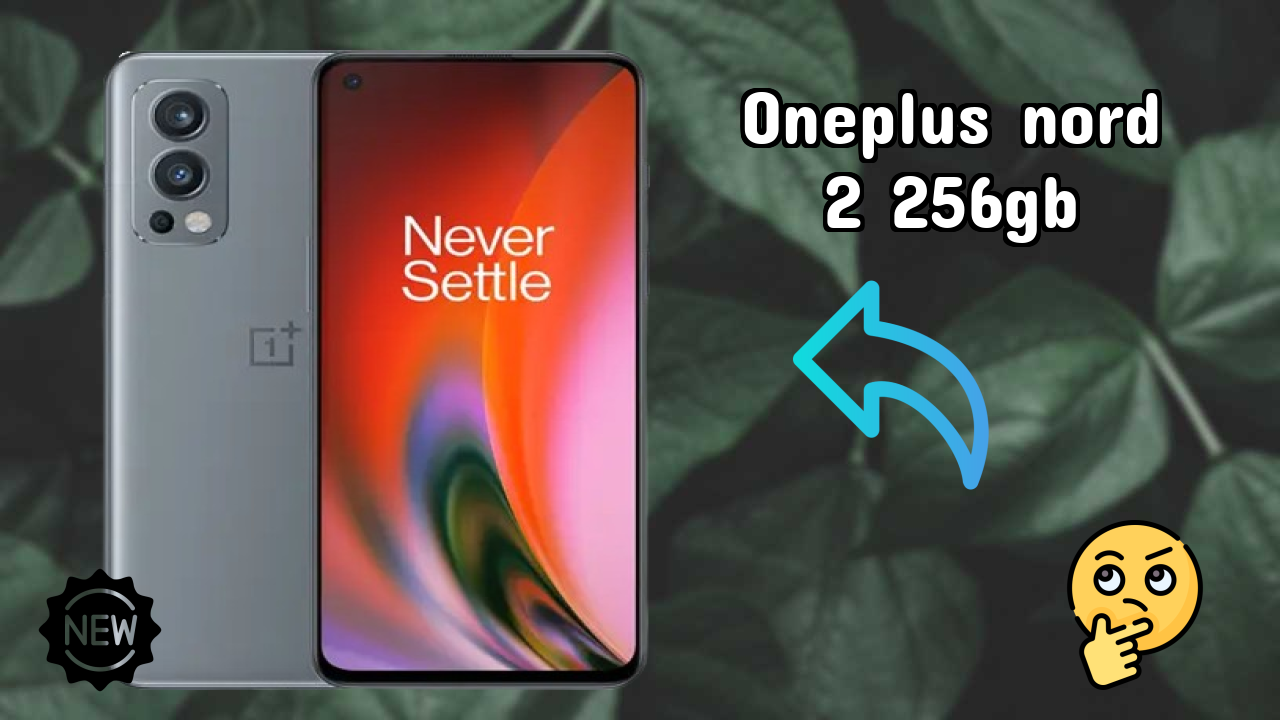 OnePlus Nord 2 256GB Camera Test: 50 MP + 8 MP + 2 MP Rear Camera Real Photos